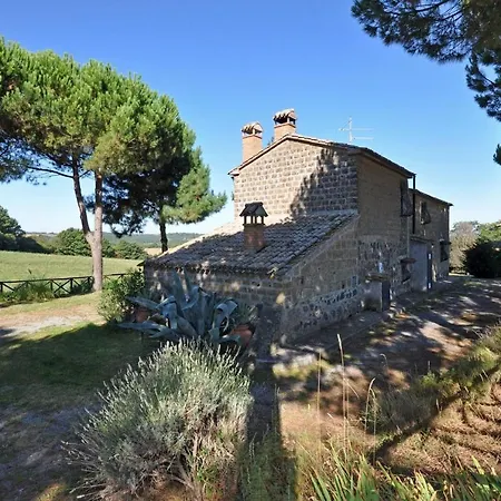 Ginestrella